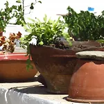 Kypseli House - Garden Home, Steps From *