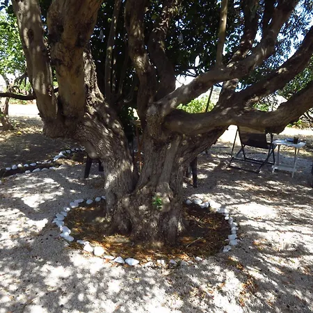 Kypseli House - Quiet Garden For Families & Groups, Steps From Apollonia